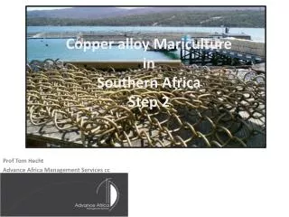 Copper alloy Mariculture in Southern Africa Step 2