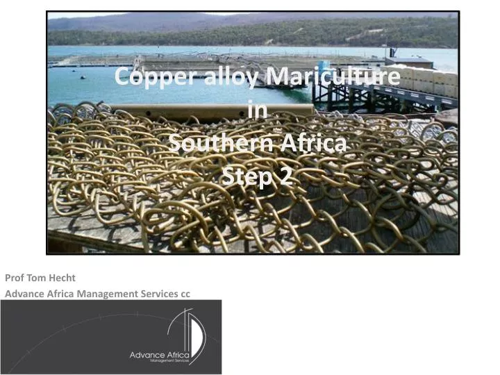 copper alloy mariculture in southern africa step 2
