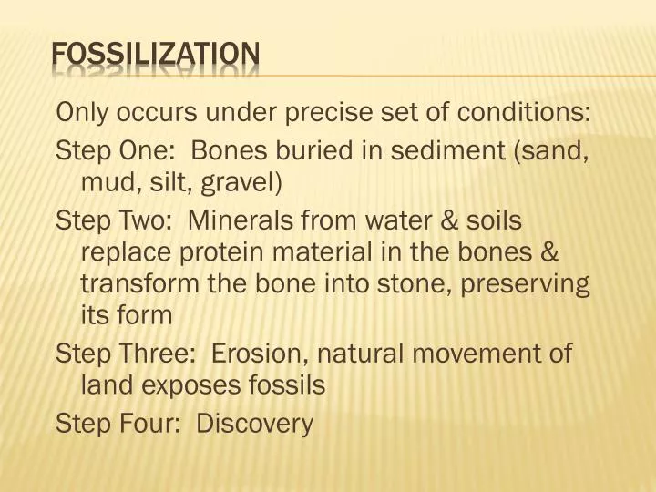 fossilization