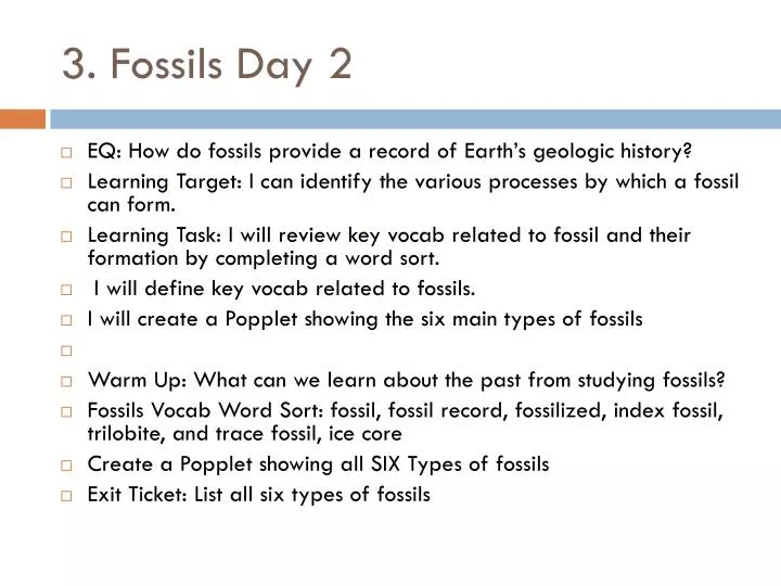 3 fossils day 2