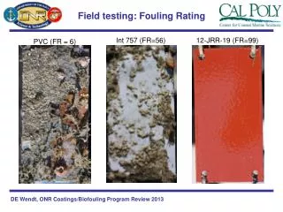 Field testing: Fouling Rating