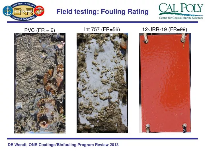 field testing fouling rating
