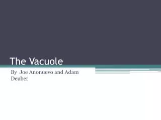 The Vacuole