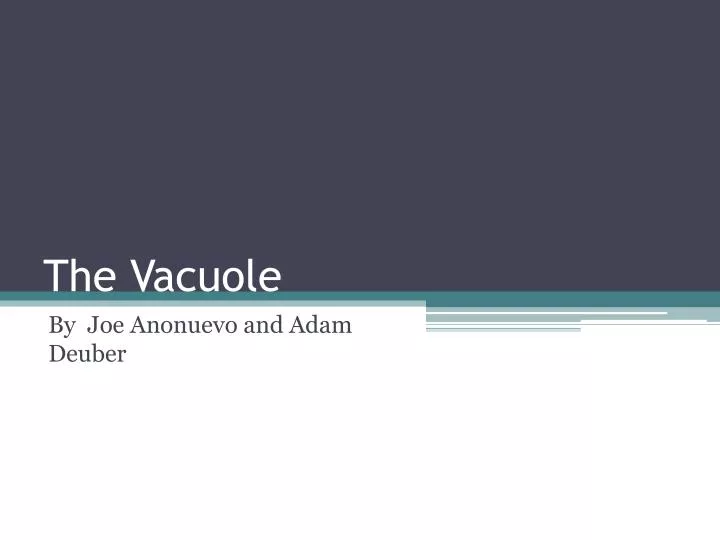 the vacuole