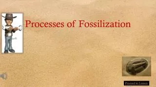 Processes of Fossilization