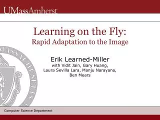 Learning on the Fly: Rapid Adaptation to the Image