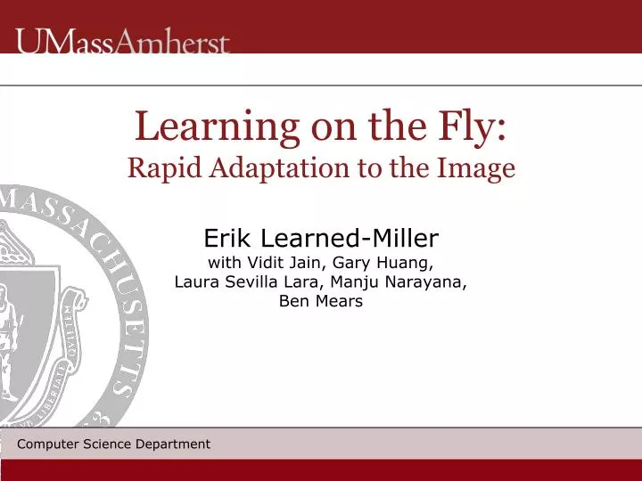 learning on the fly rapid adaptation to the image