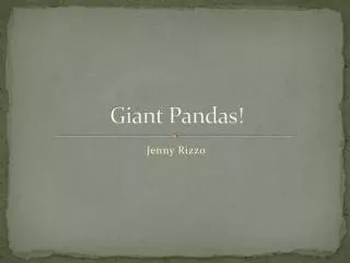 Giant Pandas!