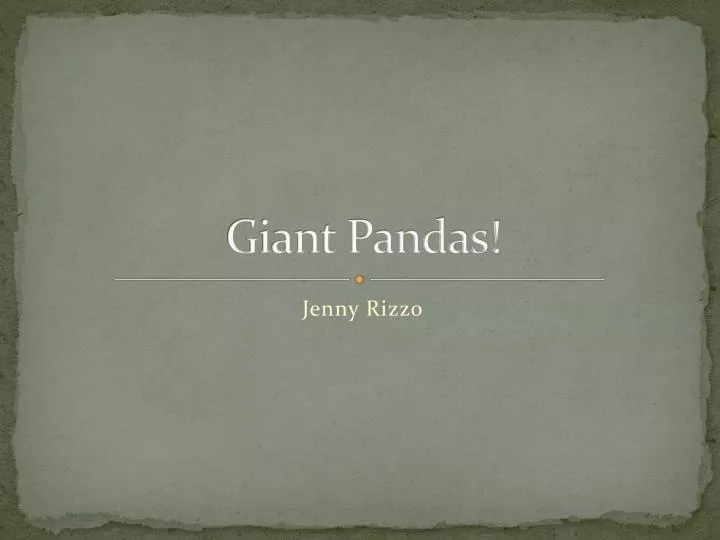 giant pandas