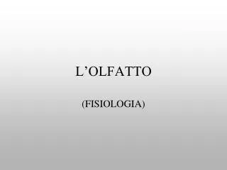 l olfatto