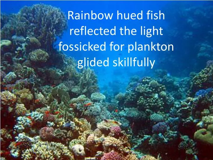 rainbow hued fish reflected the light fossicked for plankton glided skillfully