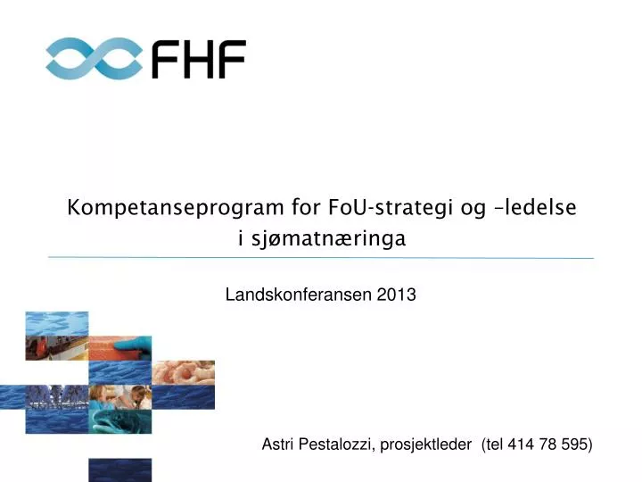 kompetanseprogram for fou strategi og ledelse i sj matn ringa