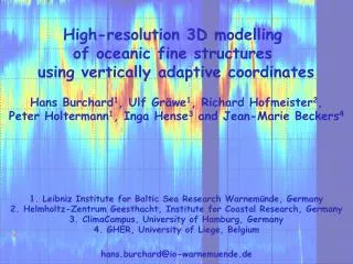 High-resolution 3D modelling of oceanic fine structures