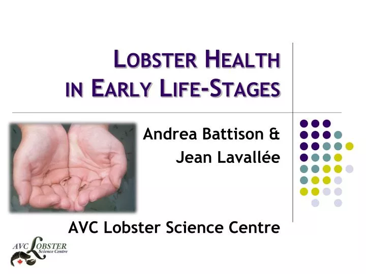 lobster health in early life stages
