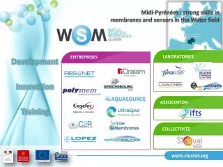 wsm-cluster.org