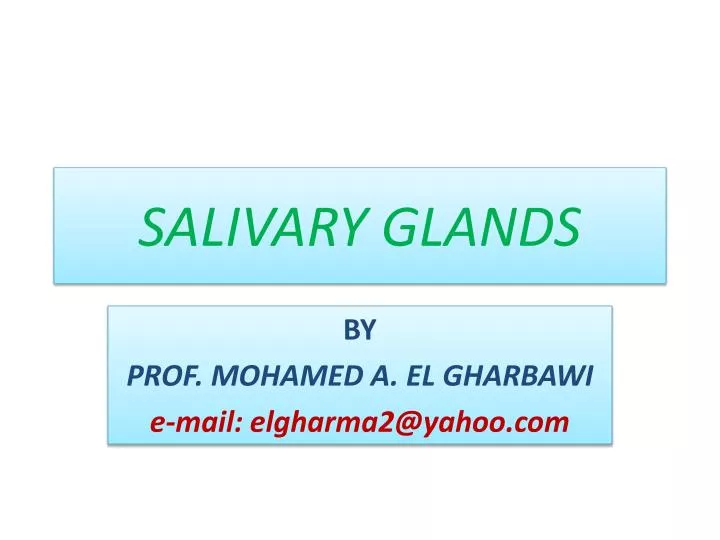 salivary glands