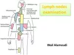 Lymph nodes examination - slide 1