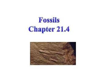 Fossils Chapter 21.4