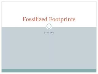 fossilized footprints