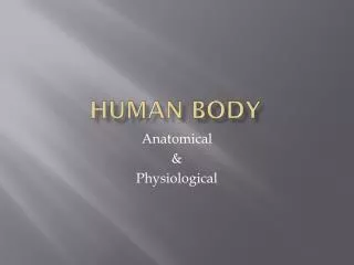 Human Body