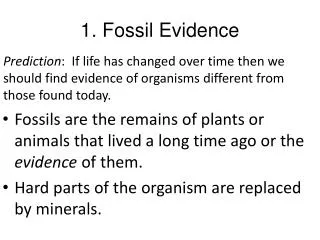 1. Fossil Evidence
