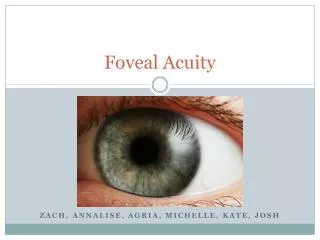 Foveal Acuity