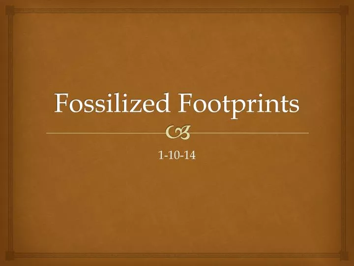 fossilized footprints