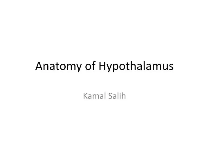anatomy of hypothalamus