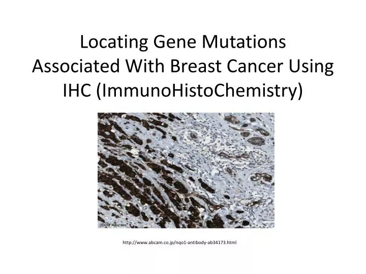 locating gene mutations associated with breast cancer using ihc immunohistochemistry