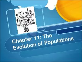 Chapter 11: The Evolution of Populations