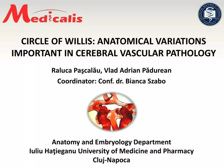 circle of willis anatomical variations important in cerebral vascular pathology