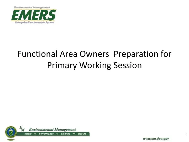 functional area owners preparation for primary working session