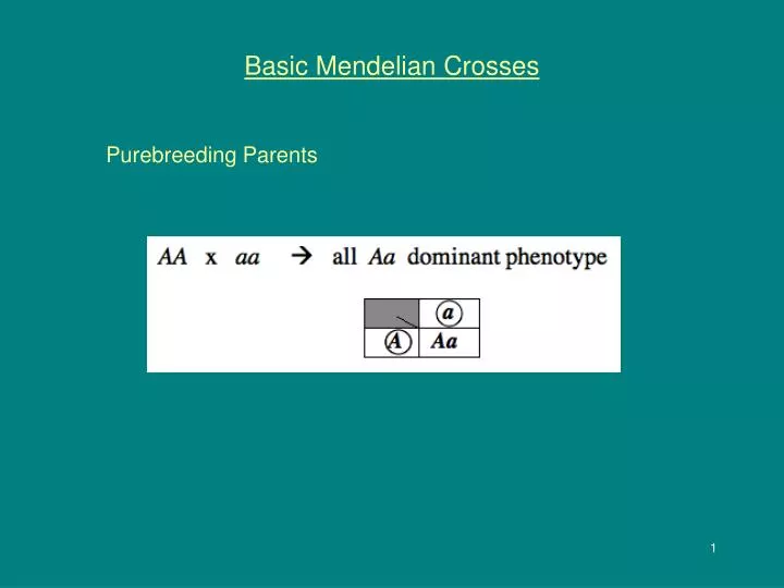 basic mendelian crosses