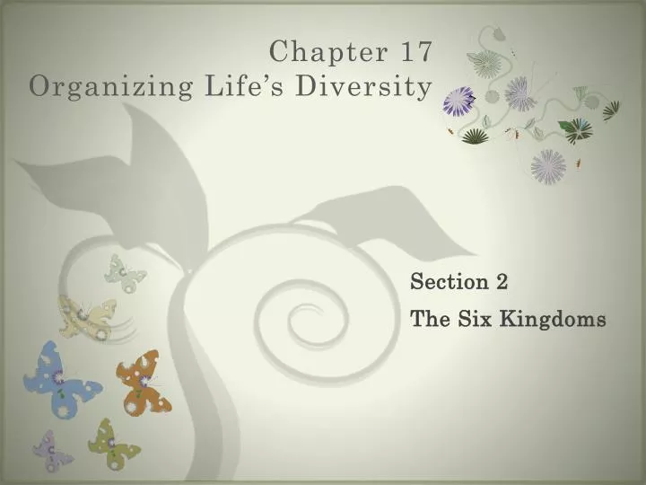 chapter 17 organizing life s diversity