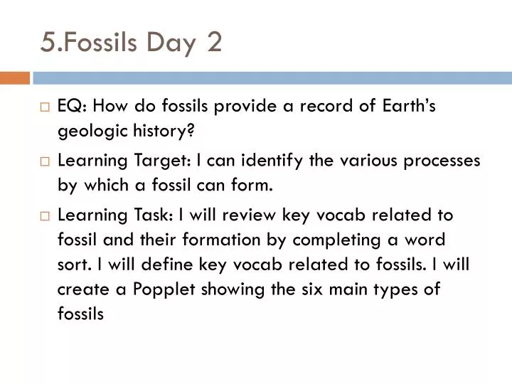 5 fossils day 2