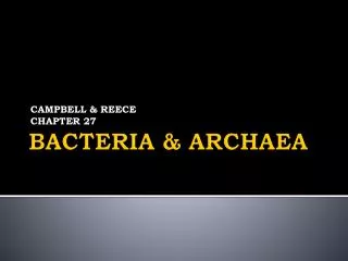 BACTERIA &amp; ARCHAEA