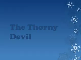 The Thorny Devil