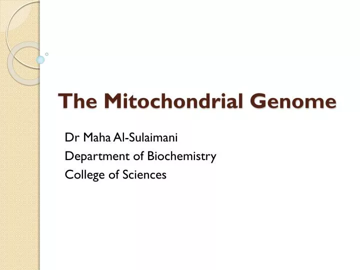 the mitochondrial genome