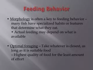 Feeding Behavior