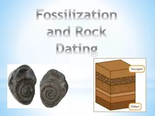 Fossilization and Rock Dating