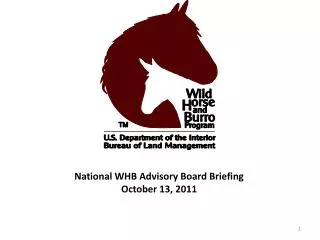 National WHB Advisory Board Briefing October 13, 2011