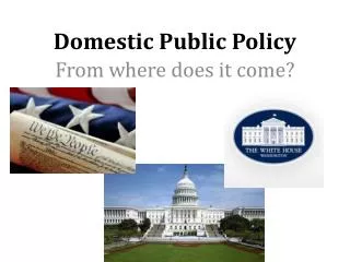 Domestic Public Policy