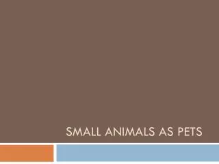 Small animals as pets
