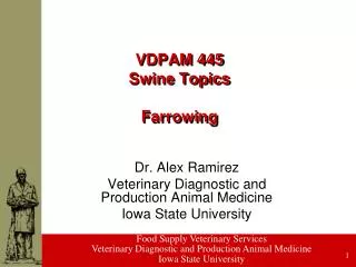 VDPAM 445 Swine Topics Farrowing