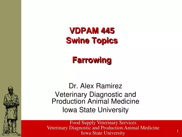 vdpam 445 swine topics farrowing