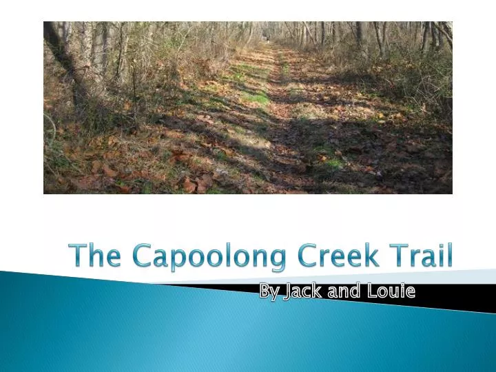 the capoolong creek trail