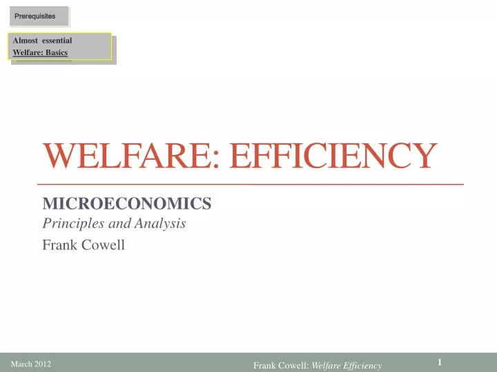 welfare efficiency