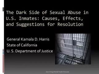The Dark Side of Sexual Abuse in U.S. Inmates: Causes, Effects, and Suggestions for Resolution