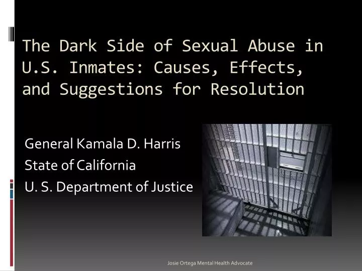 the dark side of sexual abuse in u s inmates causes effects and suggestions for resolution