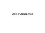 Glomerulonephritis - slide 1